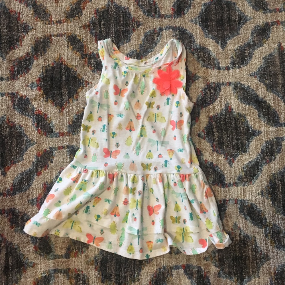 Cherokee Bug Dress